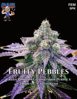 Dr. Blaze - Fruity Pebbles Strain {FEM} [5pk]Plant photo info card