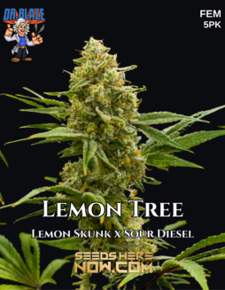 Dr. Blaze - Lemon Tree {FEM} [5pk]Plant photo info card