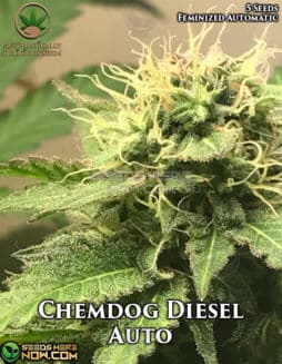 Automatically Delicious - Chemdog Diesel Auto {AUTOFEM} [5pk]