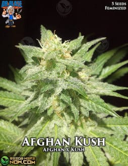Dr. Blaze - Afghan Kush {FEM} [5pk]afghan kush