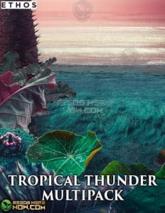 Tropical Thunder Auto Multipack (regular) - Ethos Genetics