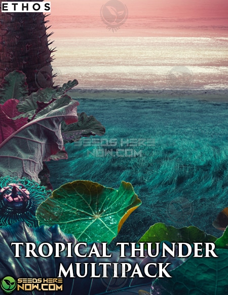Tropical Thunder Multipack