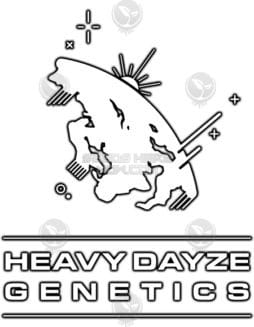 Heavy Dayze Genetics - Jinx {FEM} [8pk]