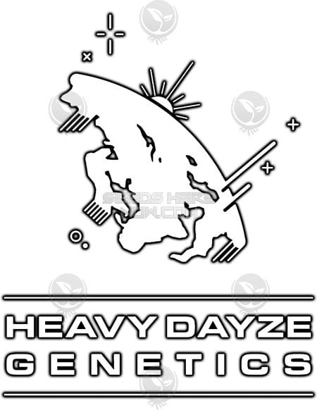 - Heavy Dayze Genetics - Jinx {Fem} [8Pk]