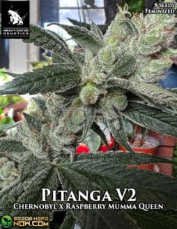 pitanga v2
