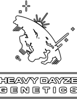 Freebie - Heavy Dayze Gift [6pk]