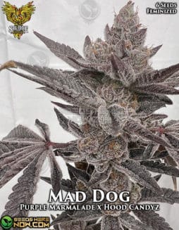 Solfire Gardens - Mad Dog {FEM} [6pk]solfire gardens mad dog