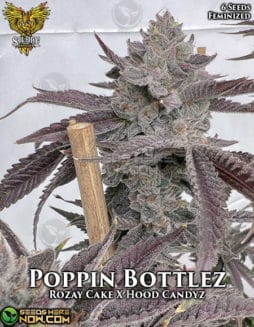 Solfire Gardens - Poppin Bottlez {FEM} [6pk]poppin bottlez