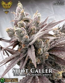 Solfire Gardens - Shot Caller {FEM} [6pk]shot caller