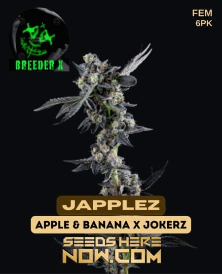 Breeder X - Japplez