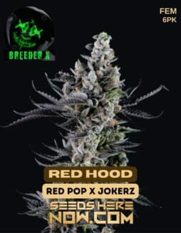Breeder X - R€d Hood {FEM} [6pk]Breeder X - R€d Hood