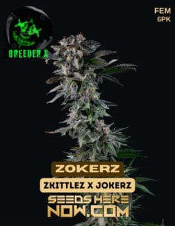 Breeder X - Zokerz {FEM} [6pk]Breeder X - Zokerz