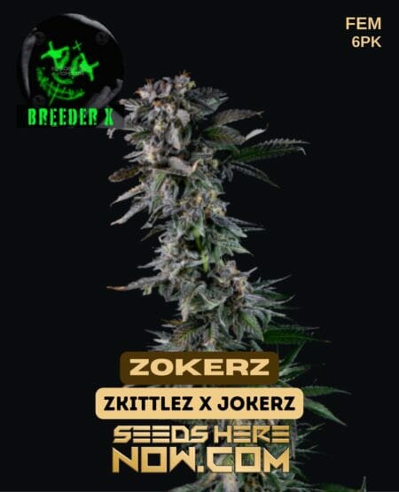 Breeder X - Zokerz