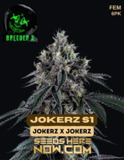 Breeder X - Jokerz S1 {FEM} [6pk]Breeder X - Jokerz S1
