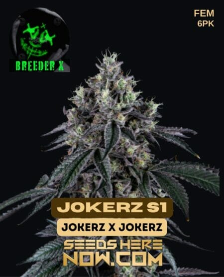 Breeder X - Jokerz S1