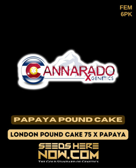 Cannarado Papaya Pound Cake