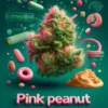 Pink Peanut (Regular) (space) Thug Pug Genetics