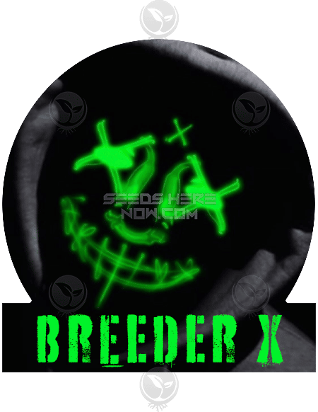 - Breeder X - ¢Riminal Kush {Fem} [6Pk]