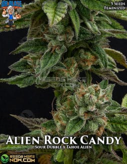alien rock candy