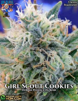 Dr. Blaze - Girl Scout Cookies {FEM} [5pk]Girl Scout Cookies