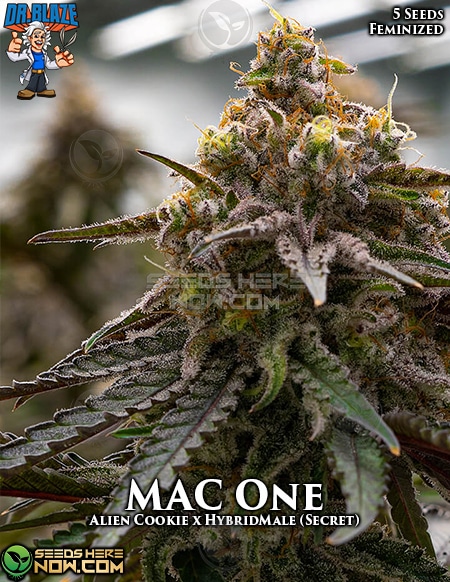 Mac One