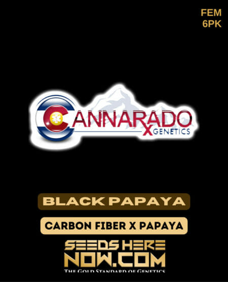 Cannarado Carbon Black Papaya