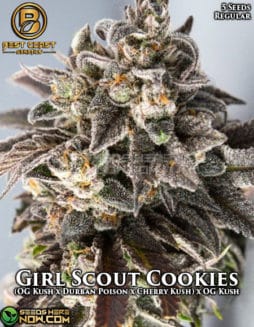 Best Coast Genetics - Girl Scout Cookies {REG} [5pk]girl scout cookies