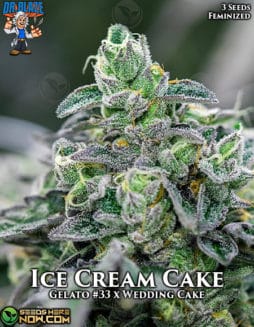 Dr. Blaze - Ice Cream Cake {FEM} [3pk]ice cream cake