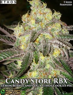 Ethos Genetics - Candy Store RBX {FEM} [5pk]candy store rbx