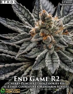 end game r2