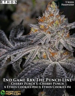 Ethos Genetics - End Game RBX The Punch Line {FEM} [5pk]end game rbx the punch line