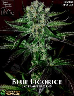 blue licorice