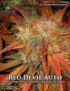 Red Devil Auto (autoflower) - Automatically Delicious
