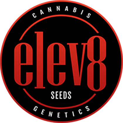 Elev8 Seeds  – Gary Payton pt.2