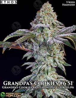 Ethos Genetics - Grandpa's Cookies #6 S1 {FEM} [5pk]grandpa's cookies #6 S1