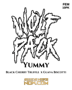 Yummy (Feminized) - Wolfpack Selections