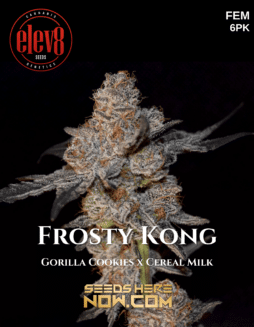 Elev8 Seeds - Frosty Kong {FEM} [6pk]