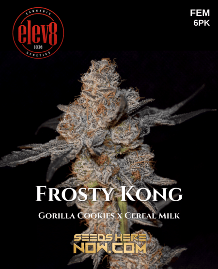 - Elev8 Seeds - Frosty Kong {Fem} [6Pk]