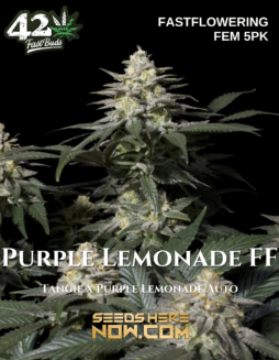 Fast Buds - Purple Lemonade FF {FEM} [5pk]