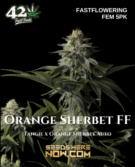 - Fast Buds - Orange Sherbet Ff {Fem} [5Pk]