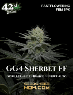 Fast Buds - GG4 Sherbet FF {FEM} [5pk]