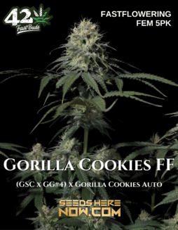 Fast Buds - Gorilla Cookies FF {FEM} [5pk]