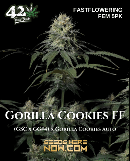 - Fast Buds - Gorilla Cookies Ff {Fem} [5Pk]