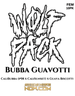 Wolfpack Selections - Bubba Guavotti {FEM} [10pk]