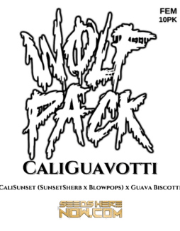 Wolfpack Selections - CaliGuavotti {FEM} [10pk]