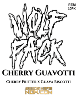 Wolfpack Selections - Cherry Guavotti {FEM} [10pk]