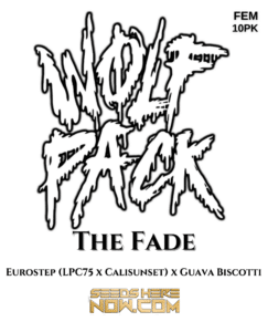 the Fade (feminized) - Wolfpack Selections