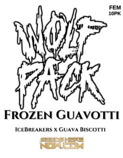 Wolfpack Selections - Frozen Guavotti {FEM} [10pk]