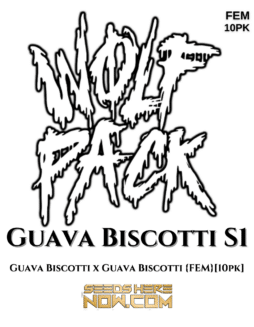 Wolfpack Selections - Guava Biscotti S1 {FEM} [10pk]
