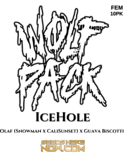 Wolfpack Selections - IceHole {FEM} [10pk]